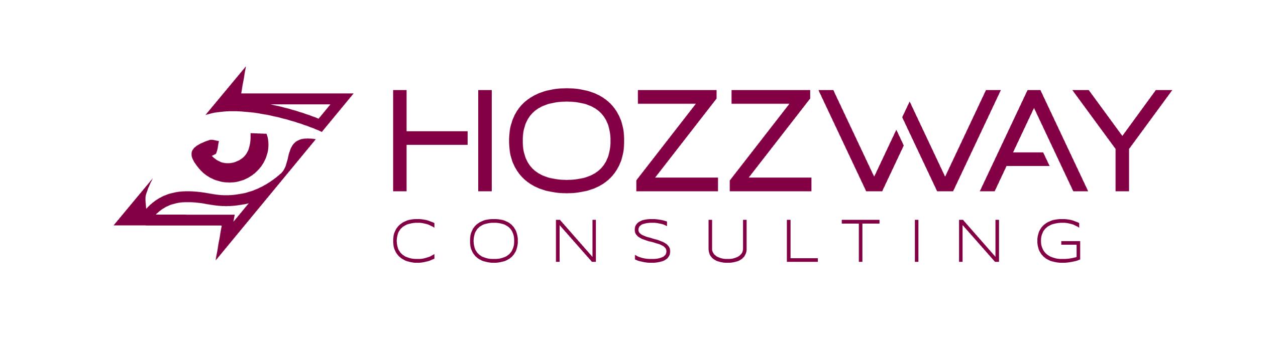 Logo Hozzway - Consulting